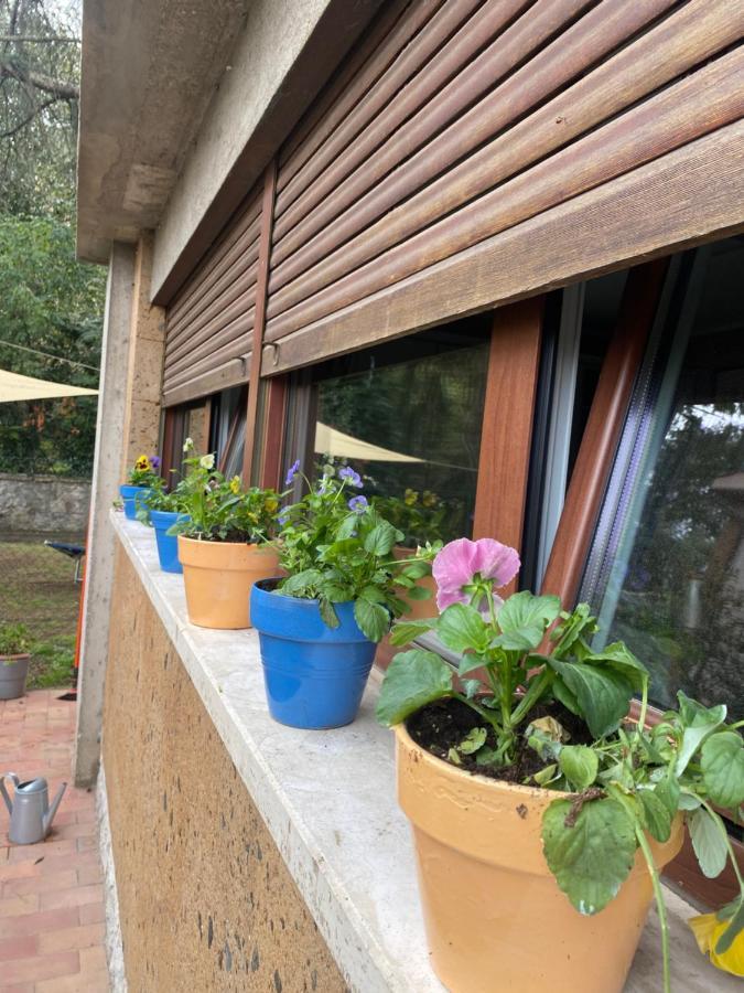 Il Giardinetto Di Elelu' Private Garage Apartment Орвието Екстериор снимка