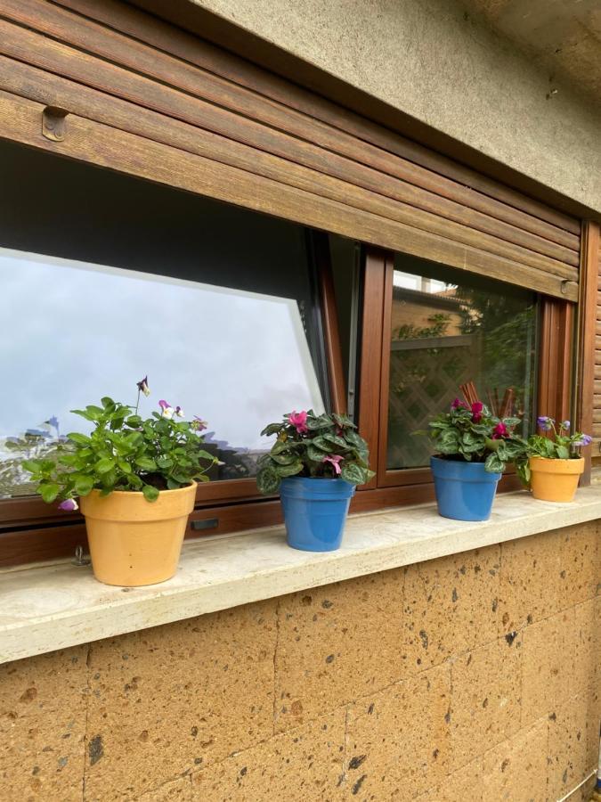 Il Giardinetto Di Elelu' Private Garage Apartment Орвието Екстериор снимка